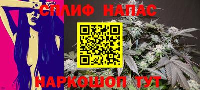 Альфа ПВП Краснознаменск