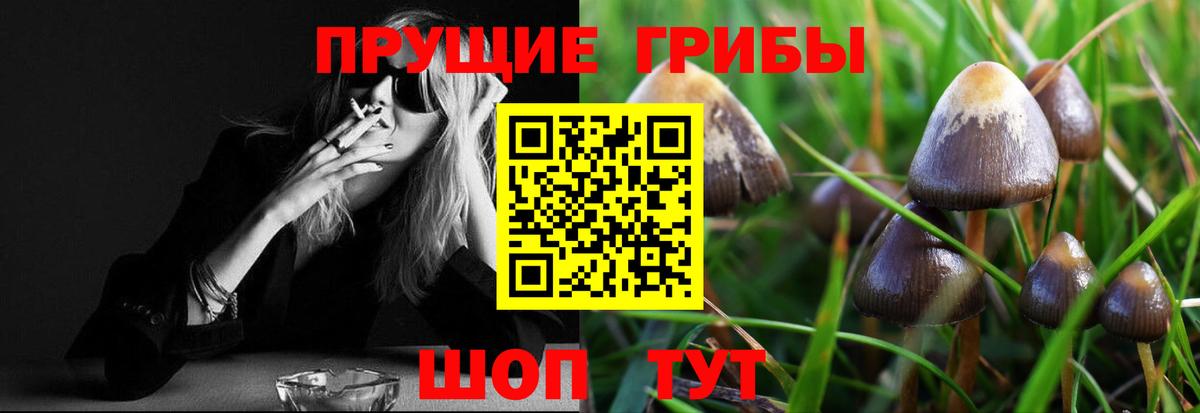 Галлюциногенные грибы ЛСД  Вход с VPN  Волжск 